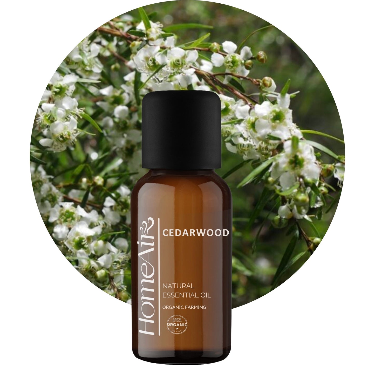 CEDROVÝ STROM | přírodní esenciální olej | BIO