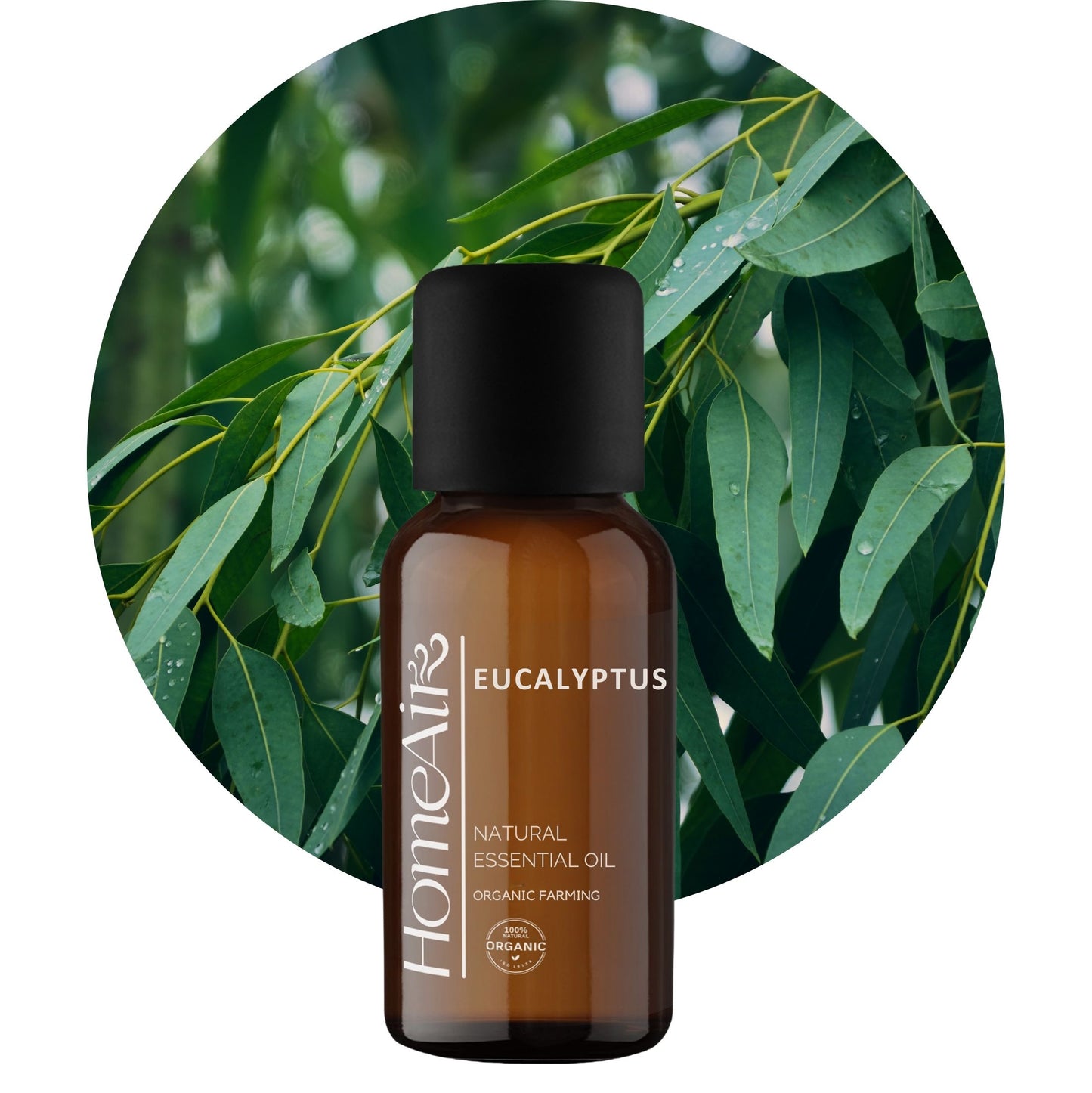 EUKALYPTUS | přírodní esenciální olej | BIO