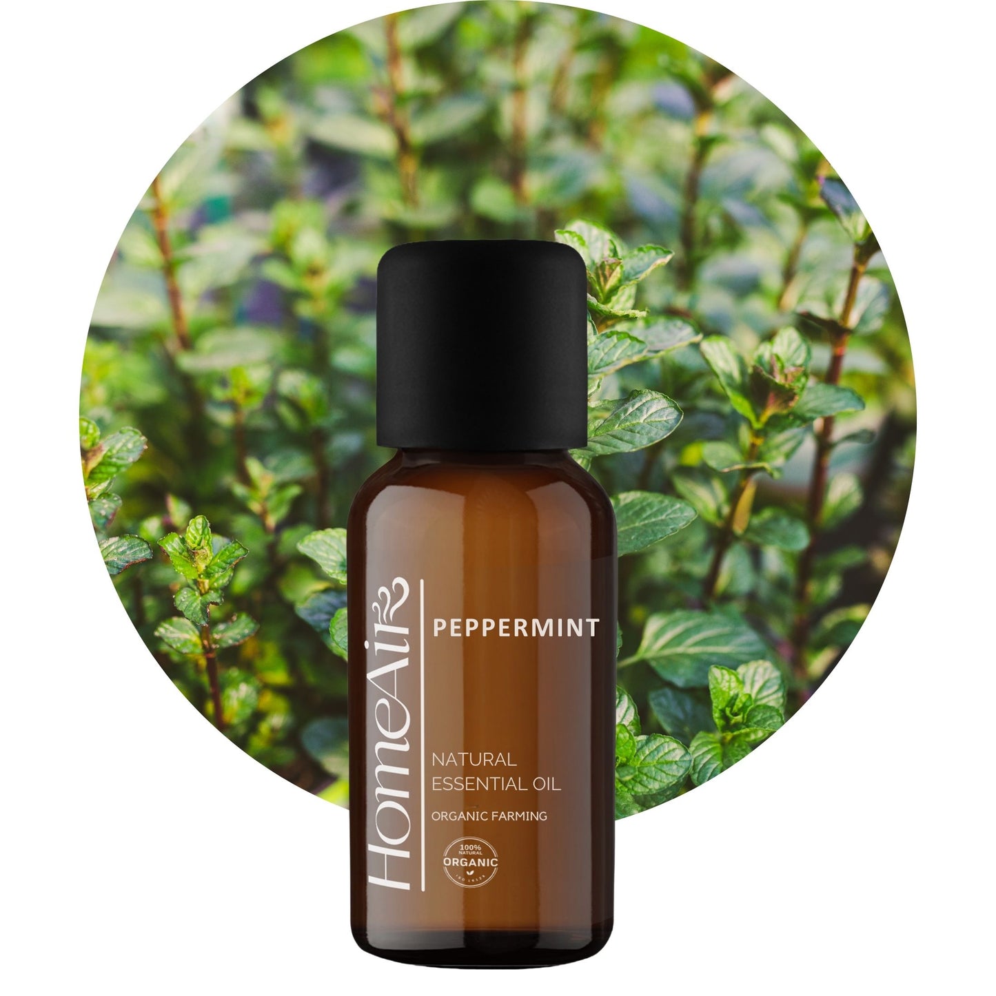 MÁTA PEPRNÁ | přírodní esenciální olej | BIO