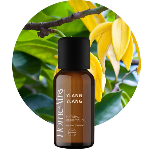 Vlastnosti oleja Ylang Ylang