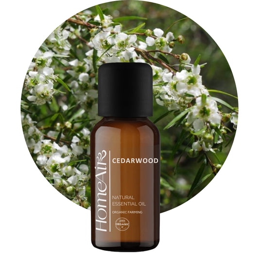 CEDROVÝ STROM | přírodní esenciální olej | BIO