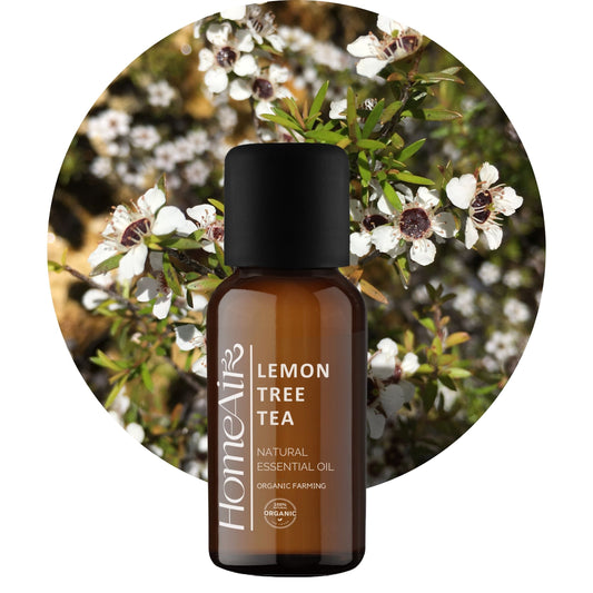 CITRÓNOVÝ ČAJOVNÍK | přírodní esenciální olej | BIO